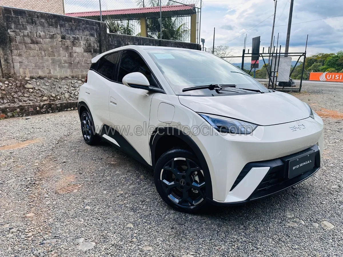 BYD Seagull 2026