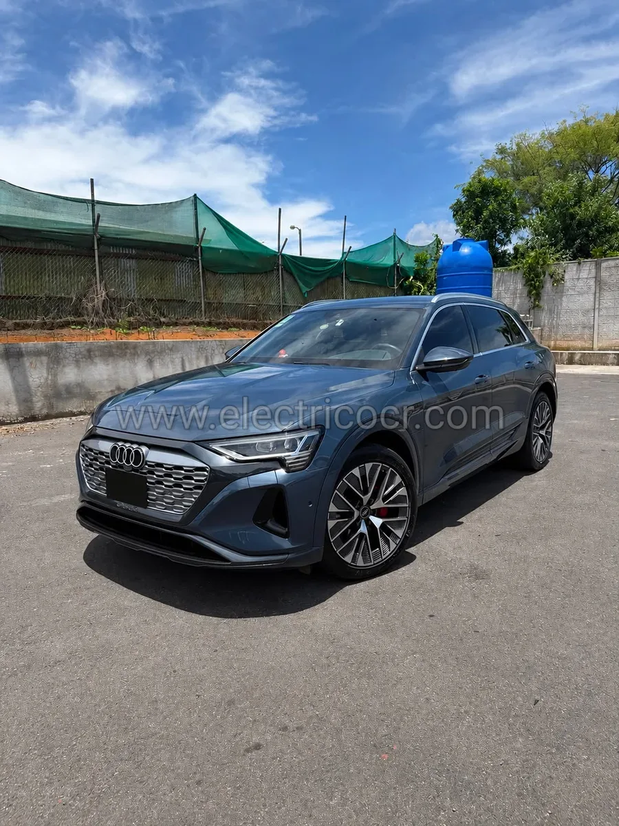 Audi E-TRON 55 2024