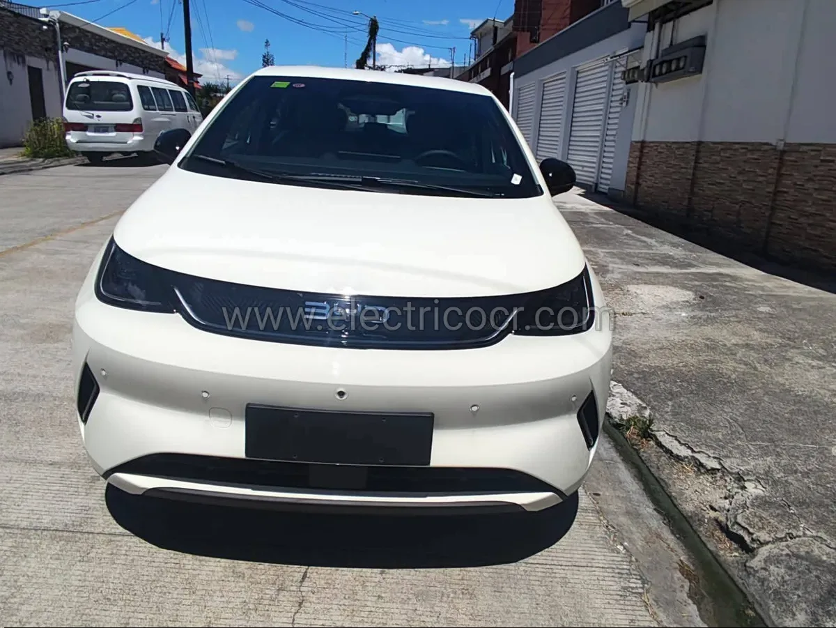 BYD DOLPHIN 2025